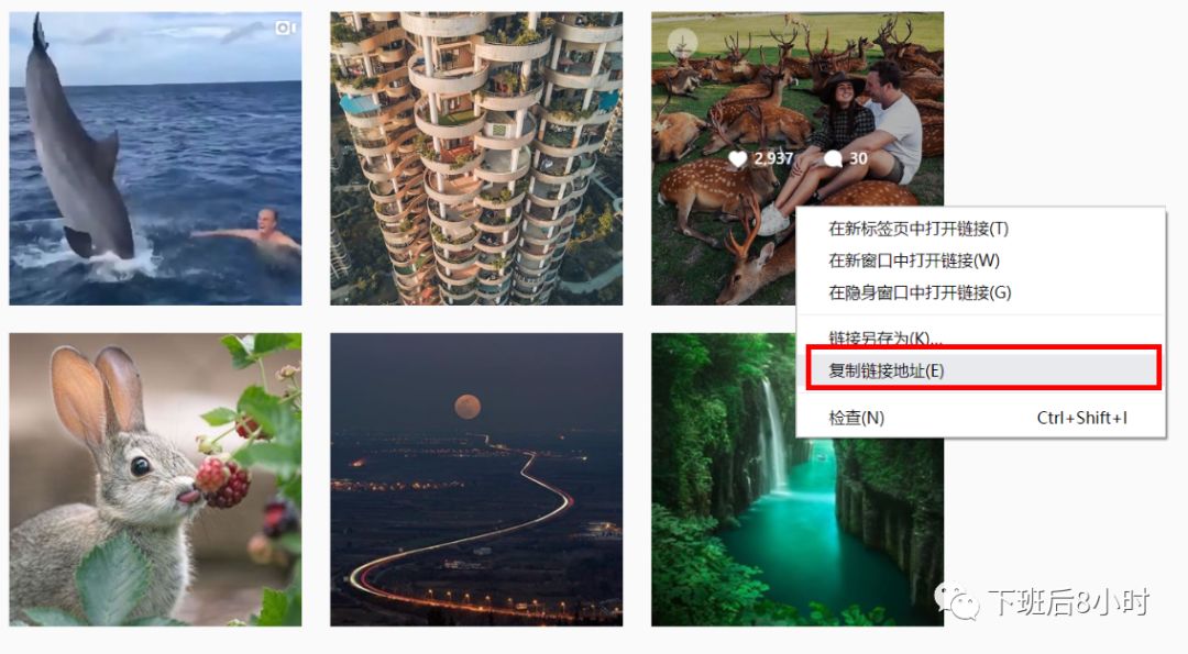 如何下載Instagram圖片和視頻，推薦常用的10個(gè)免費(fèi)工具