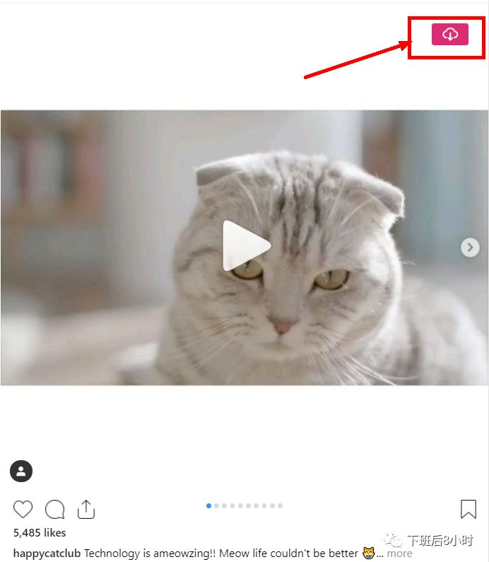 如何下載Instagram圖片和視頻，推薦常用的10個(gè)免費(fèi)工具